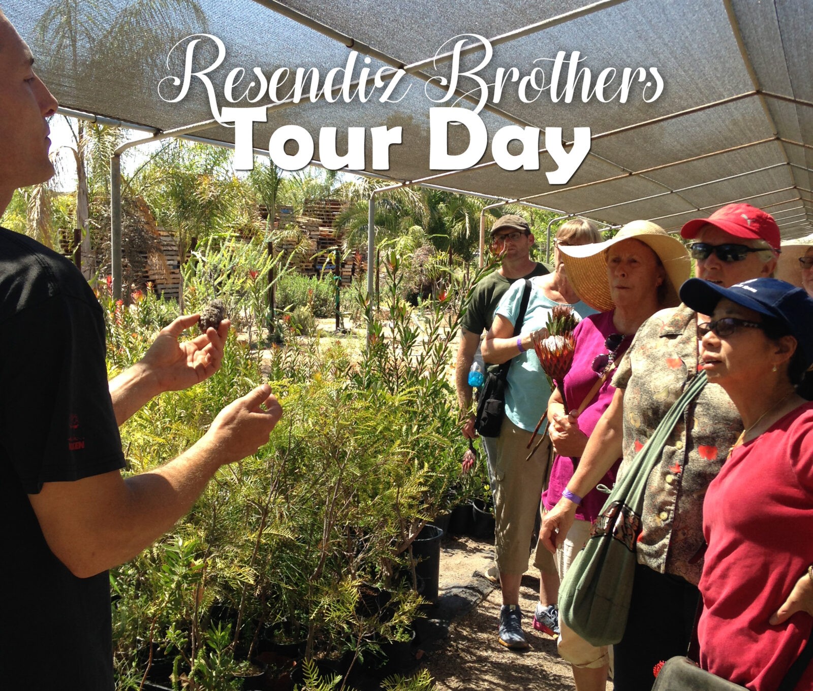 Tour Day