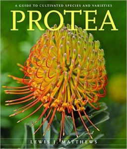 Protea Guide