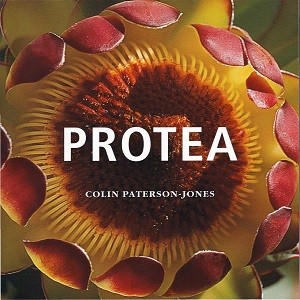 Protea colin paterson Jones