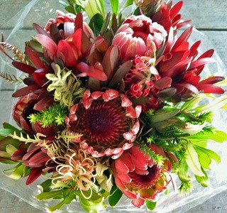 Bouquets of Protea