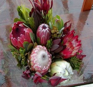 Protea bouquet Resendiz Brothers