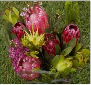 protea_bouquet resendiz Brothers