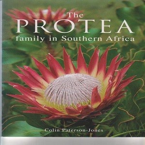 ths protea family in southern Africa 1