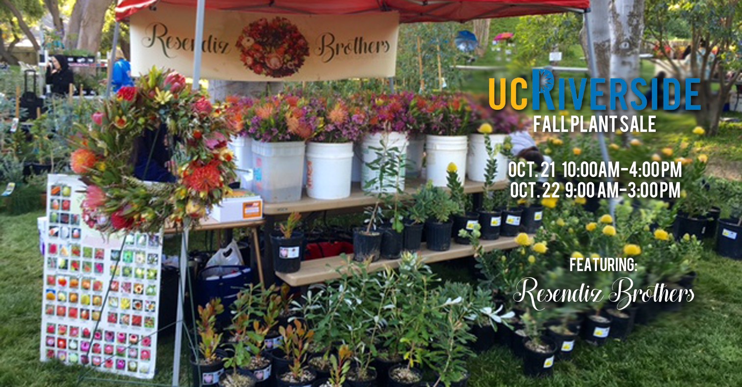 ucr fall plant sale Resendiz Brothers