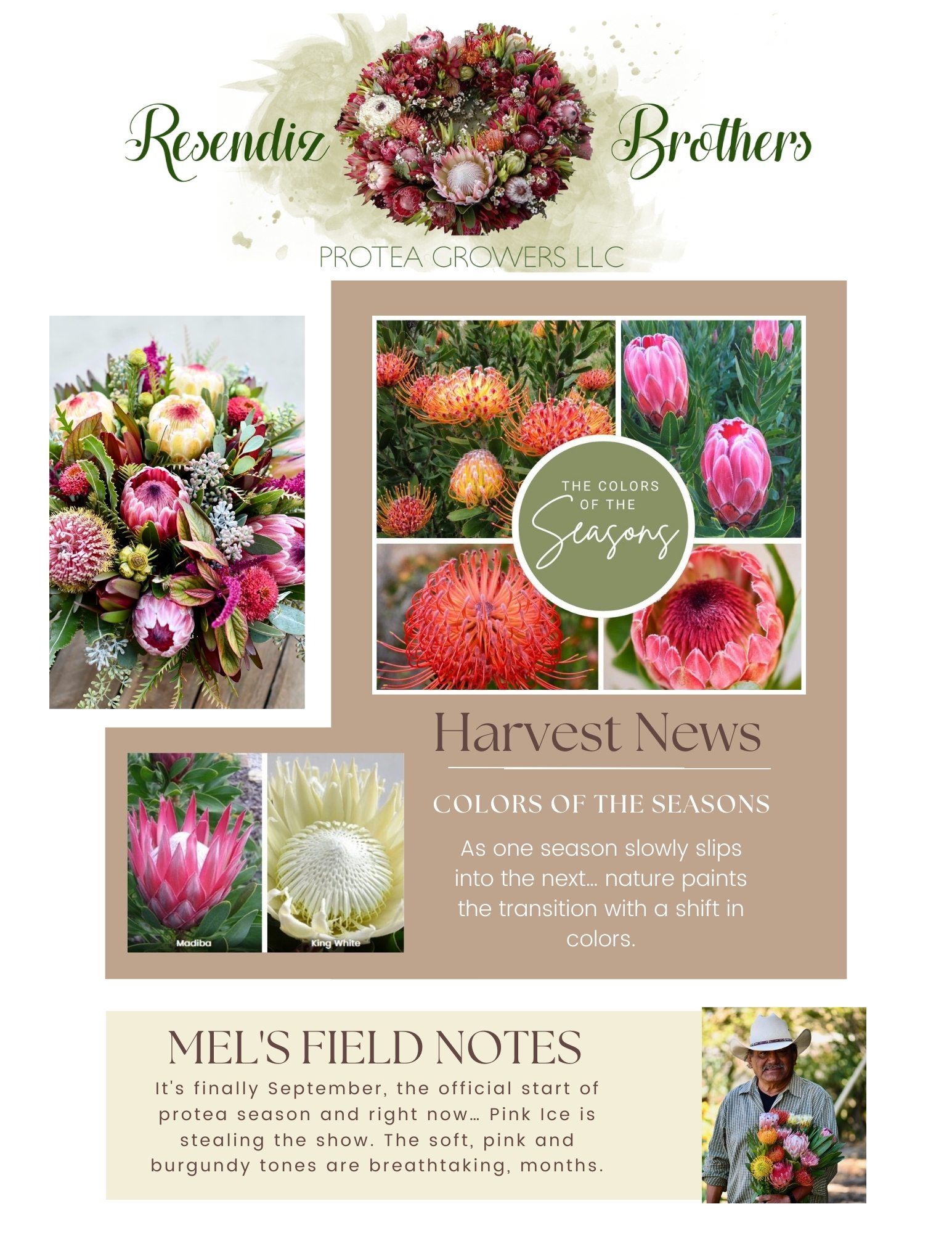 Sept 2025 Newsletter