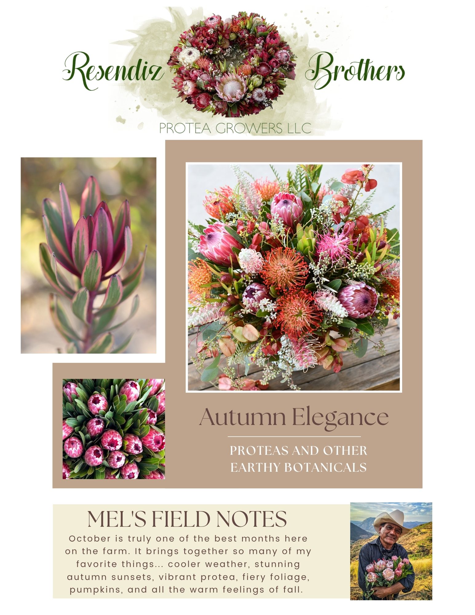 October 2025 Newsletter Oct 2025 Newsletter